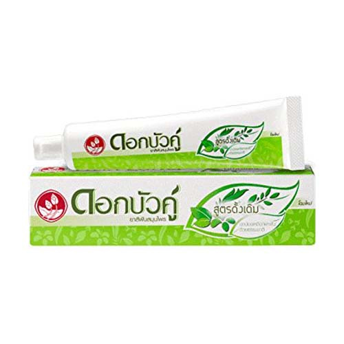 Twin Lotus Original Herbal Toothpaste 100g